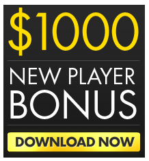 download bet365poker